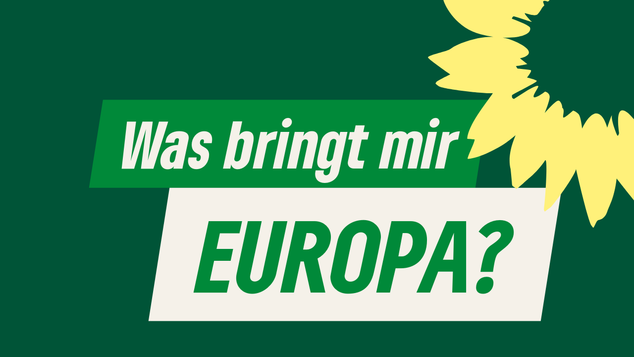 Was bringt mir Europa? Text auf grünem Hintergrund mit Sonnenblume oben rechts im Bild